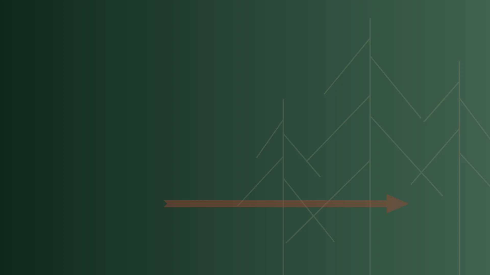 The Adventures of Robin Hood backdrop