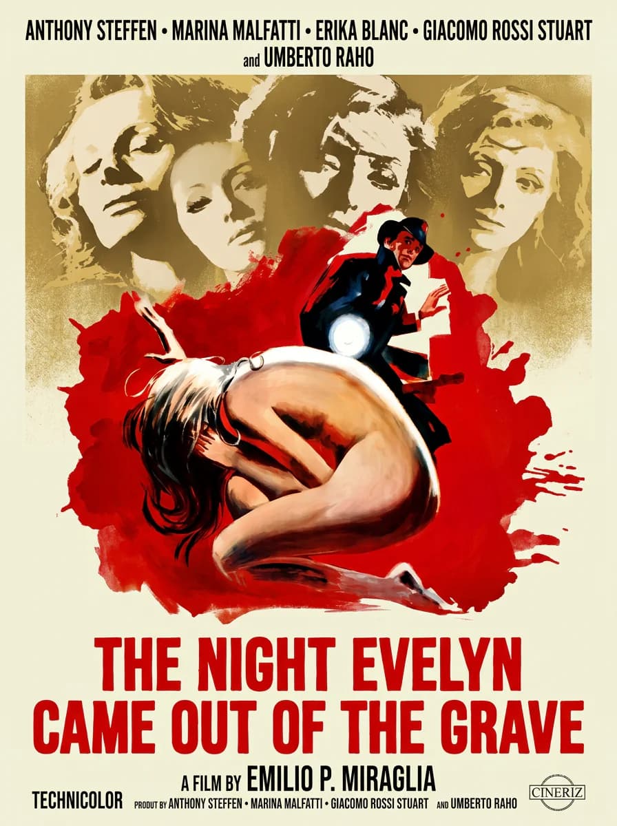 The Night Evelyn Came Out Of The Grave poster