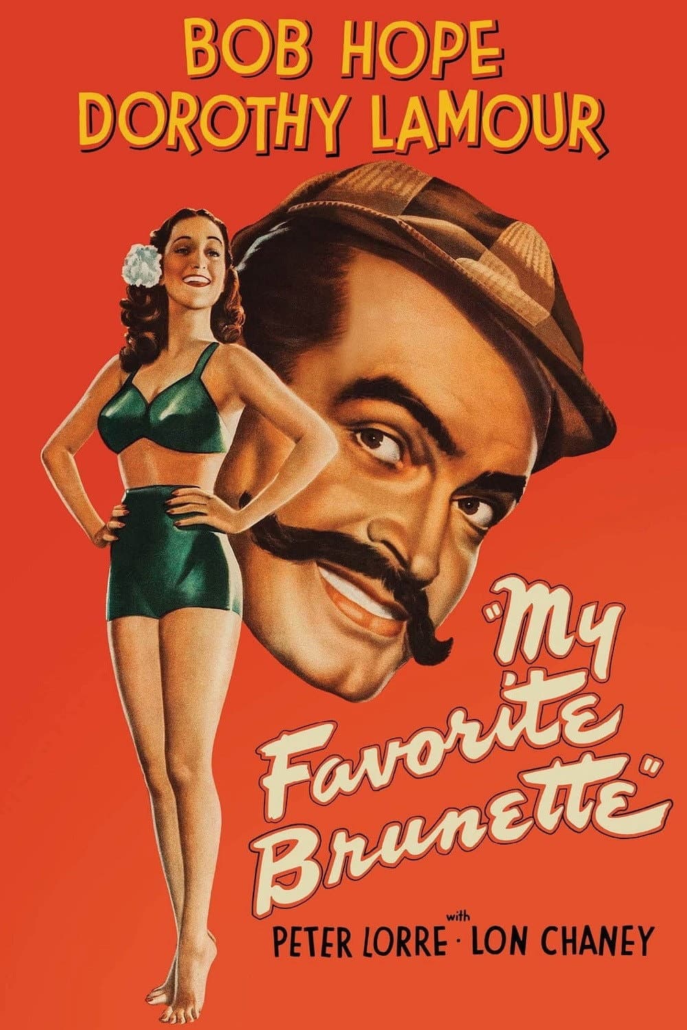My Favorite Brunette poster