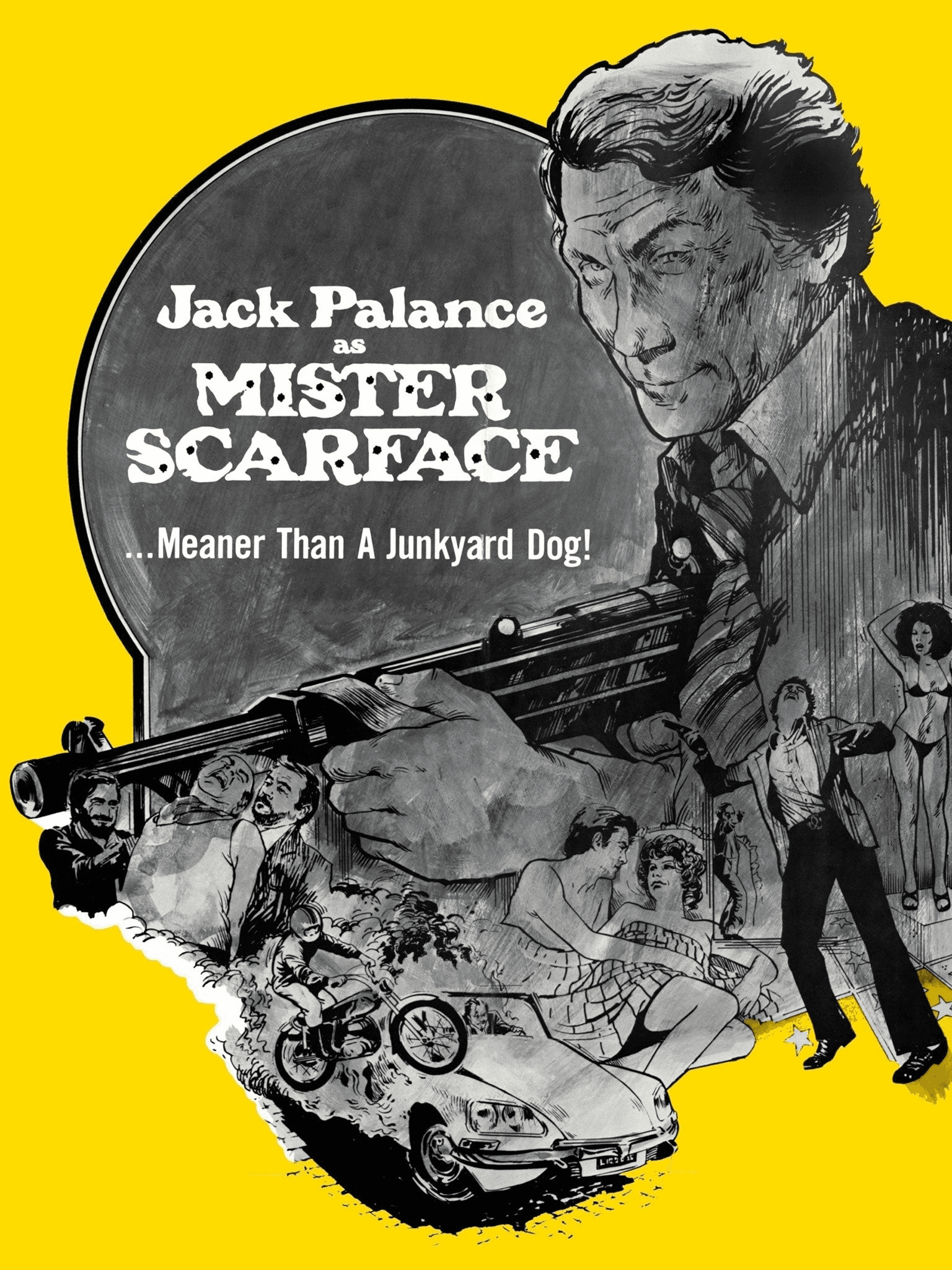 Mr. Scarface poster