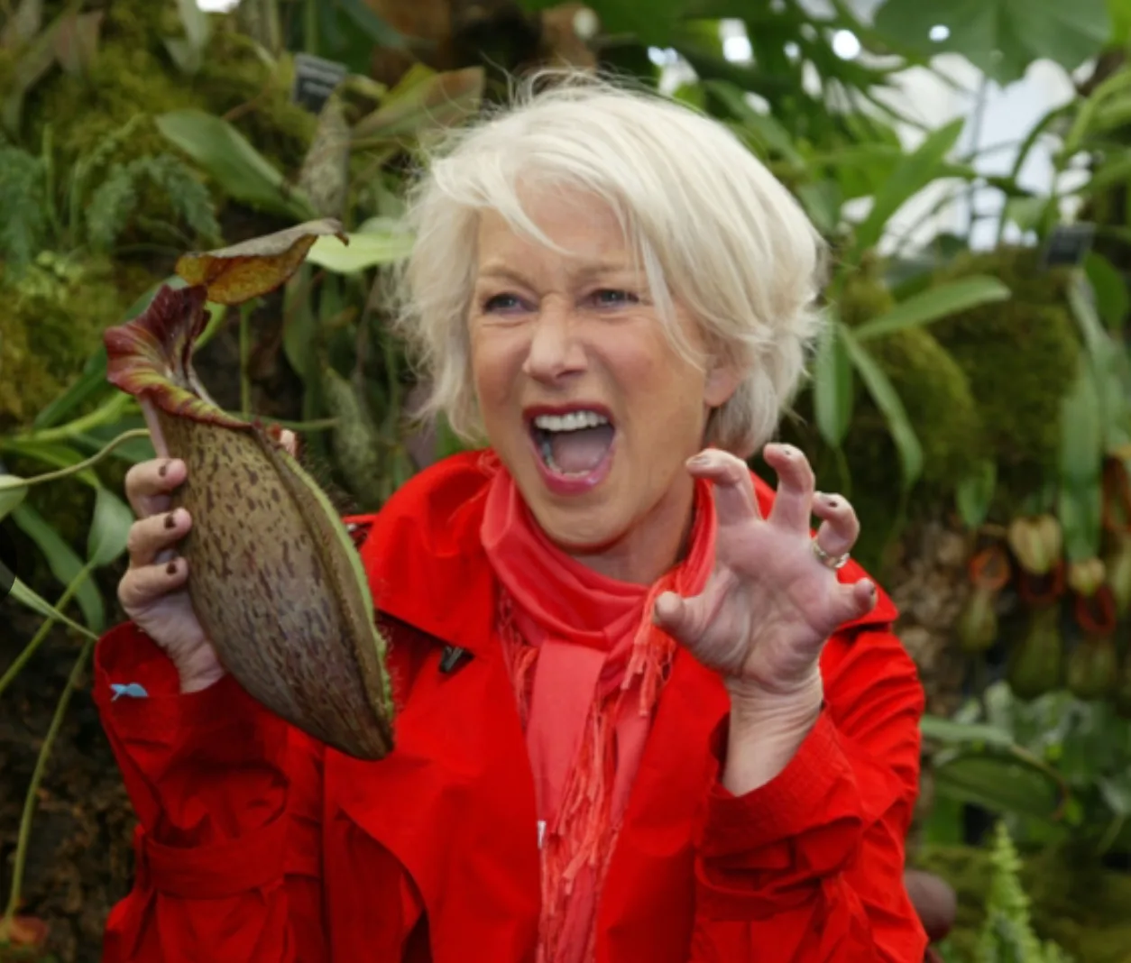 Helen Mirren holding Nepenthes 'Helen' carnivorous plant at RHS Chelsea Flower show